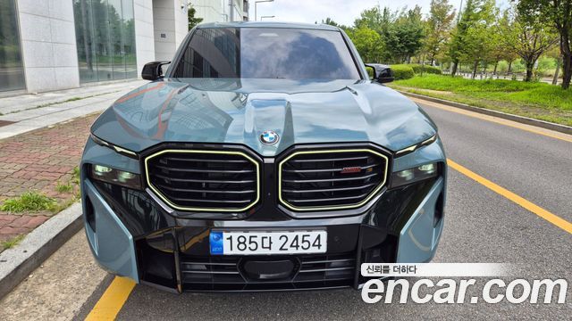 BMW XM G09 4.4 Lable - фото 0