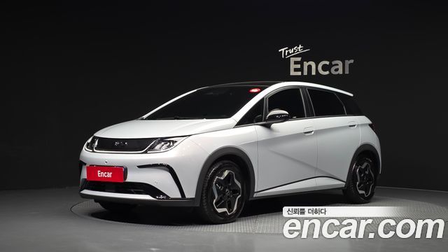 BYD Dolphin Base - фото 0