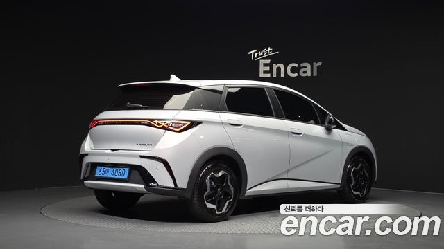 BYD Dolphin Base - фото 1