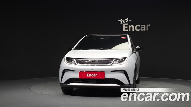 BYD Dolphin Base - фото 2