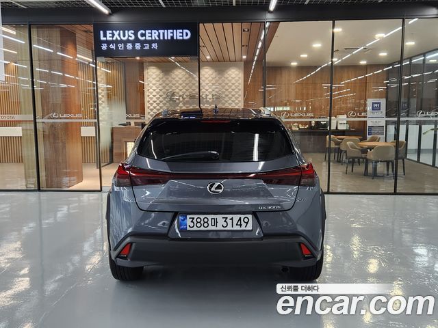Lexus UX 300h 2.0 2WD - фото 3