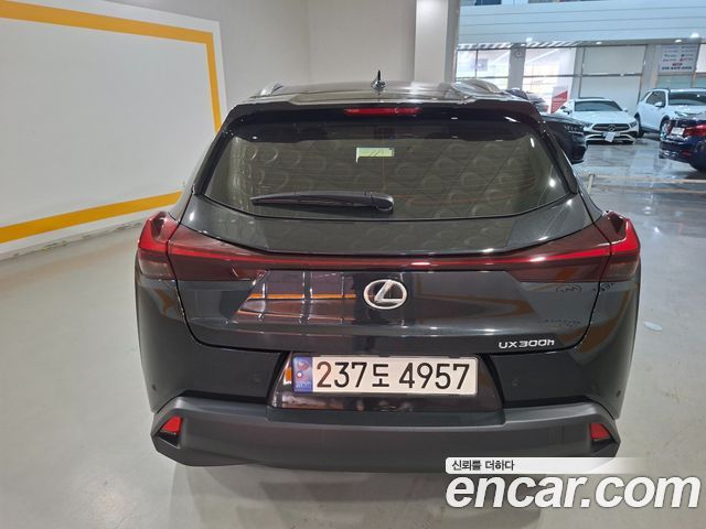 Lexus UX 300h 2.0 2WD - фото 3