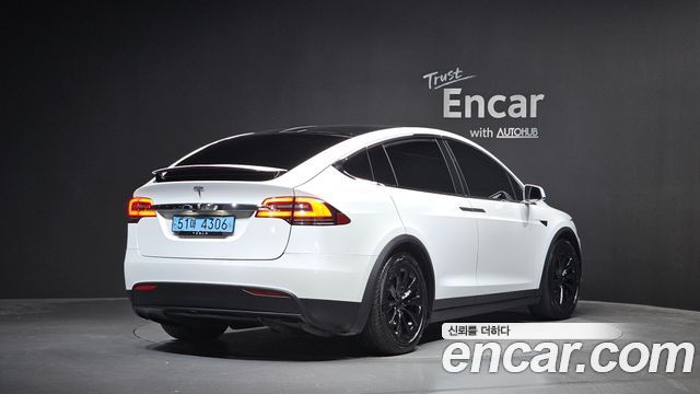 Tesla Model X 100D - фото 0