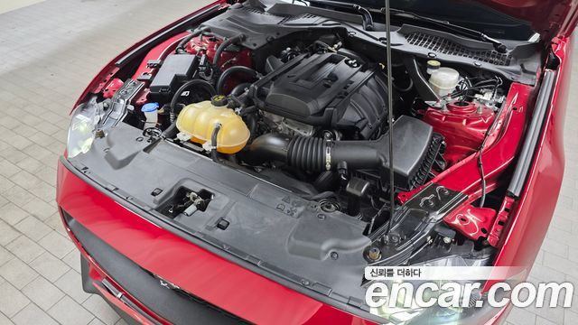Ford Mustang Convertible - фото 4