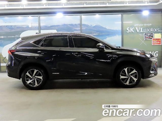 Lexus NX 300h Supreme - фото 2