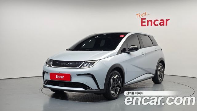 BYD Dolphin Base - фото 0