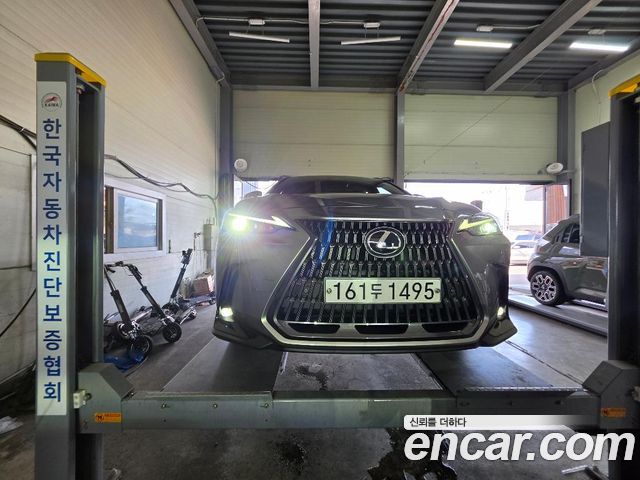 Lexus NX 350h 2-го поколения Premium - фото 0