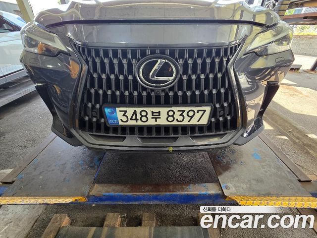 Lexus NX 450h+ 2-го поколения Premium - фото 0