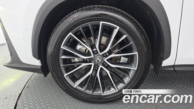 Lexus NX 350h 2-го поколения Luxury - фото 4