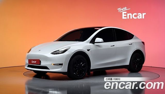 Tesla Model Y Long Range AWD - фото 0