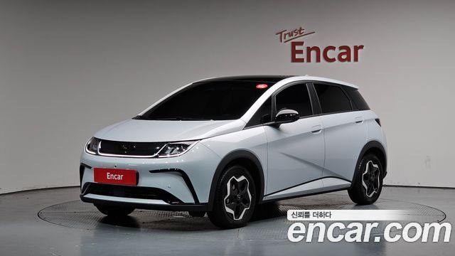 BYD Dolphin Base - фото 0