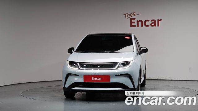 BYD Dolphin Base - фото 2