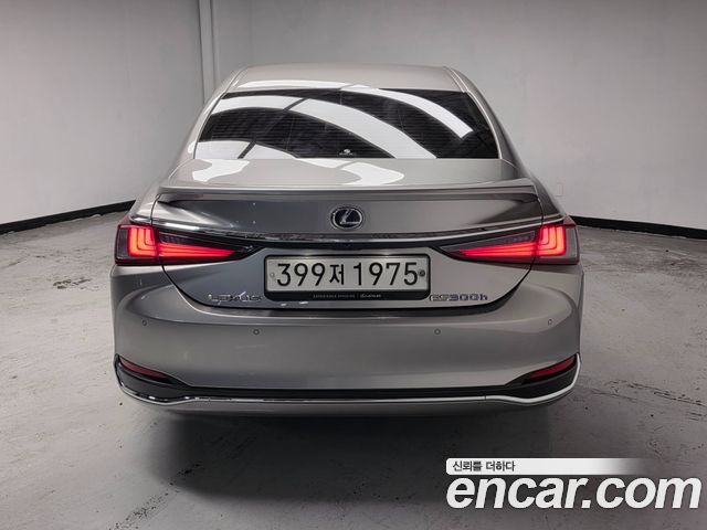 Lexus ES 300h 7-го поколения Luxury Plus - фото 3