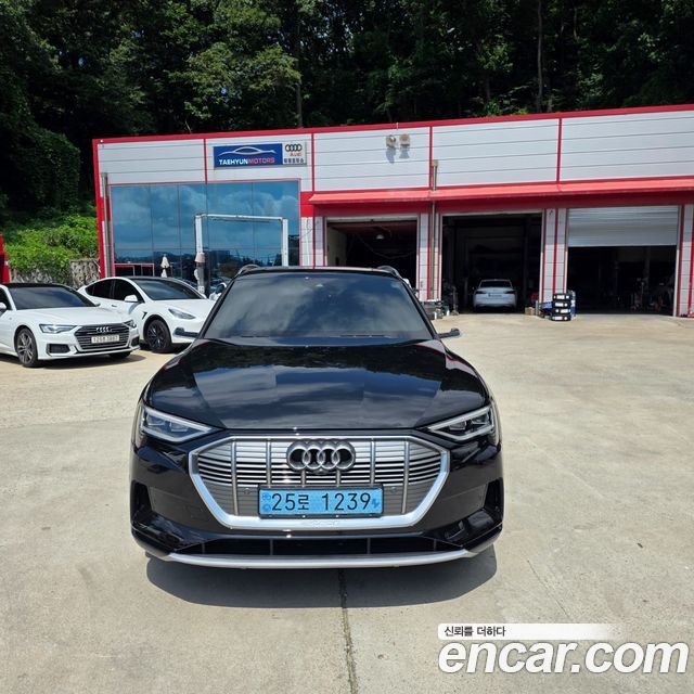 Audi e-Tron 55 Quattro - фото 0