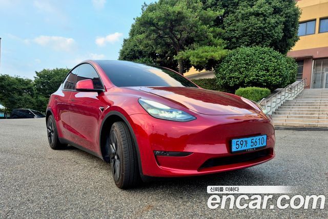 Tesla Model Y Long Range AWD - фото 0