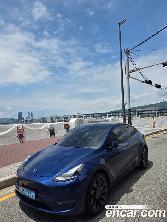 Tesla Model Y Performance AWD - фото 3