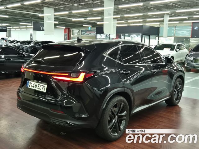 Lexus NX 350h 2-го поколения Premium - фото 1