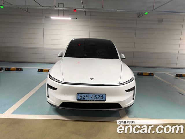 Tesla Model Y Premium Long Range AWD - фото 0