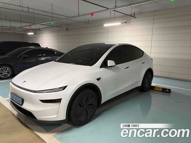 Tesla Model Y Premium Long Range AWD - фото 1