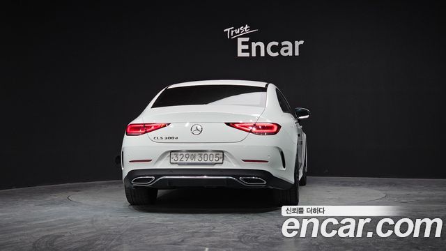 Mercedes-Benz CLS-Class C257 CLS300d AMG Line - фото 3