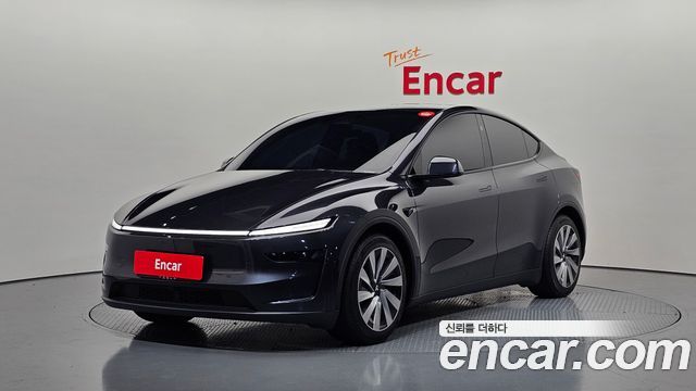 Tesla Model Y Long Range AWD - фото 0