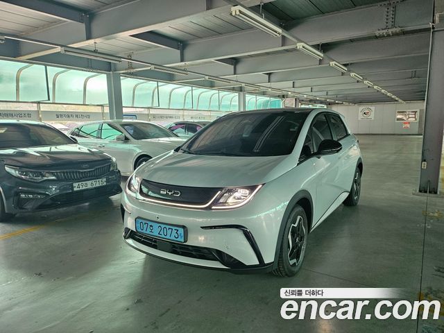BYD Dolphin Base - фото 0