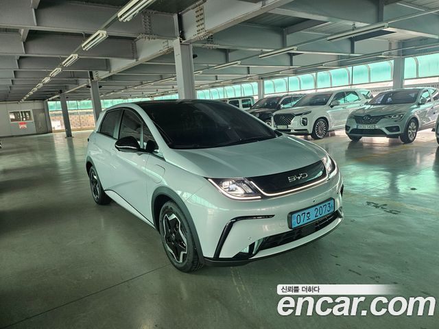 BYD Dolphin Base - фото 1