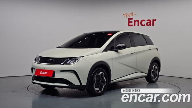BYD Dolphin Base - фото 0