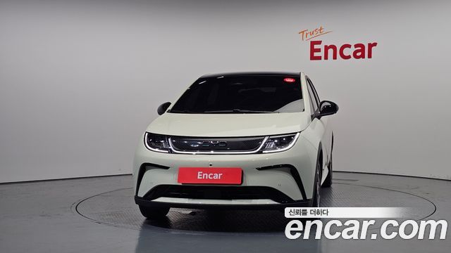 BYD Dolphin Base - фото 2