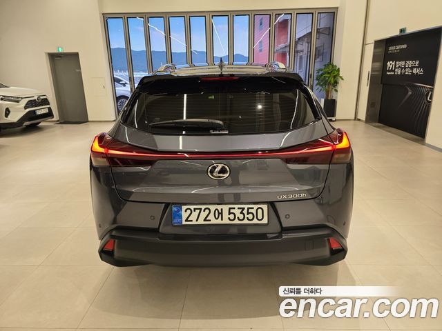 Lexus UX 300h 2.0 2WD - фото 3