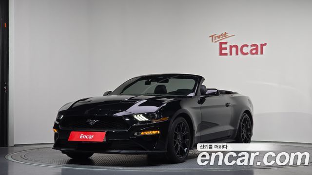 Ford Mustang Convertible - фото 0