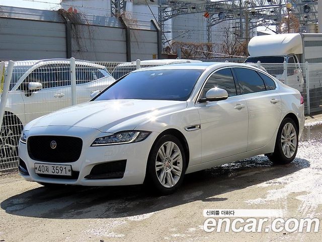 Jaguar XF X260 20d Portfolio - фото 1