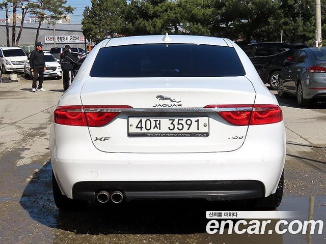 Jaguar XF X260 20d Portfolio - фото 3