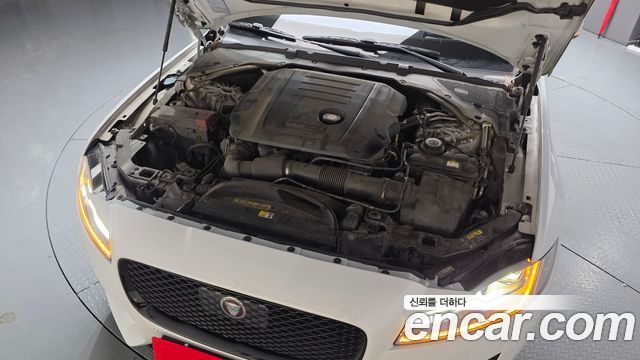 Jaguar XF X260 20d Chequered Flag Edition - фото 4