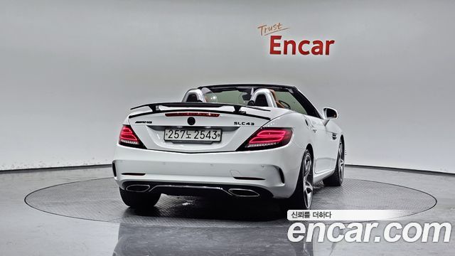 Mercedes-Benz SLC-Class R172 SLC250 - фото 3