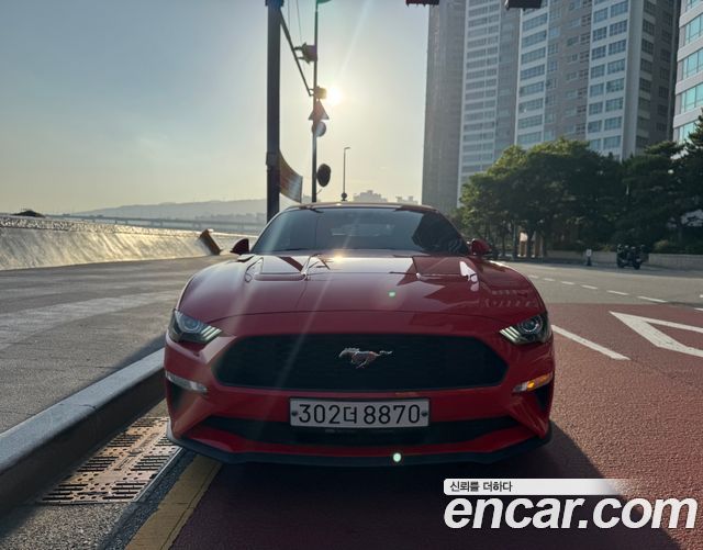 Ford Mustang Convertible - фото 0