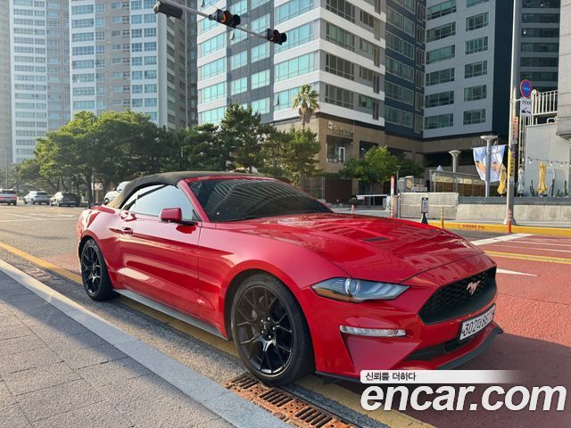 Ford Mustang Convertible - фото 1