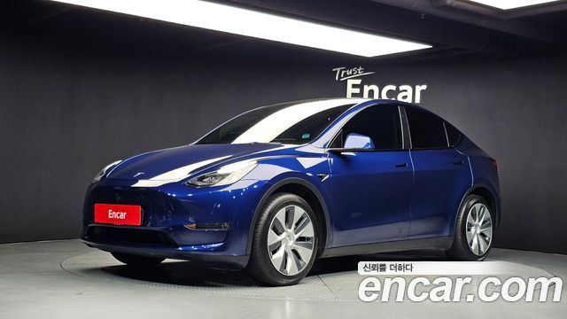 Tesla Model Y Long Range AWD - фото 0