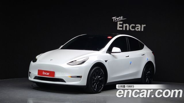 Tesla Model Y Long Range AWD - фото 0