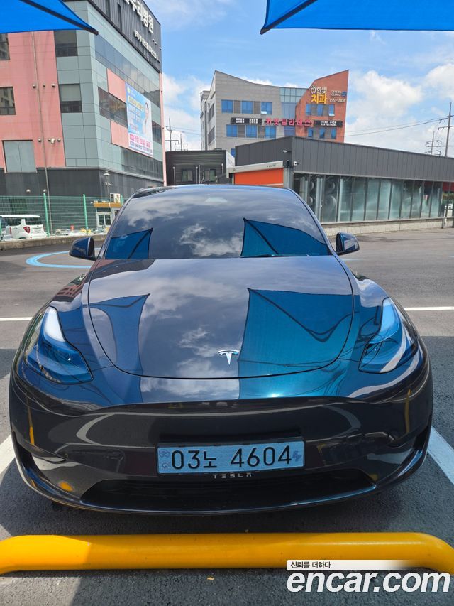 Tesla Model Y RWD - фото 0