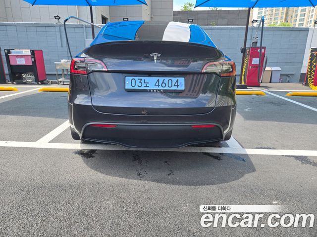 Tesla Model Y RWD - фото 1