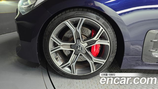Kia Stinger 2.0 Turbo AWD Platinum - фото 4