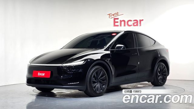 Tesla Model Y Long Range AWD - фото 0