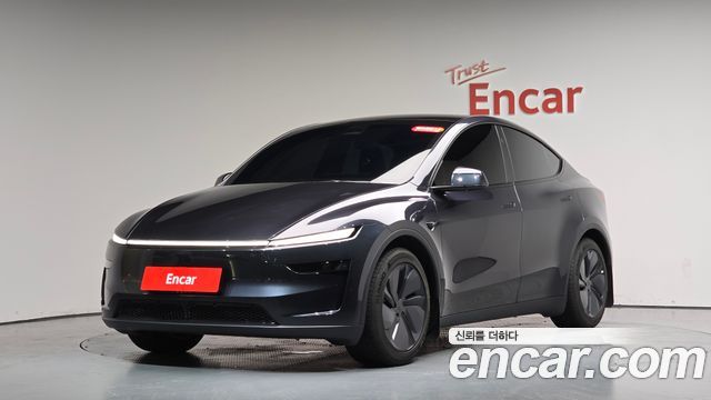 Tesla Model Y Premium Long Range AWD - фото 0