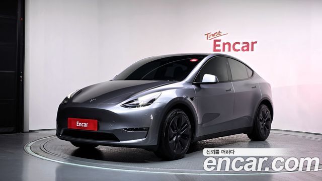 Tesla Model Y Long Range AWD - фото 0