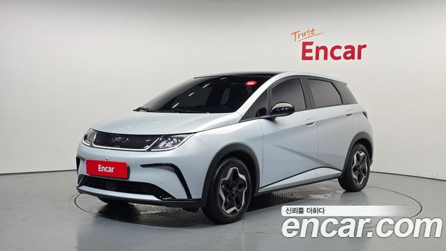 BYD Dolphin Base - фото 0