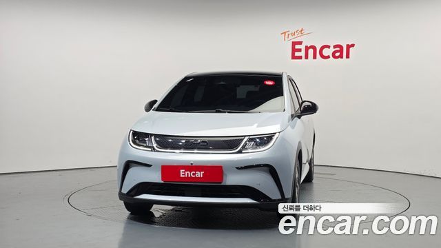 BYD Dolphin Base - фото 2