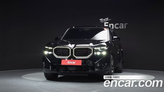 BMW XM G09 4.4 Lable - фото 2