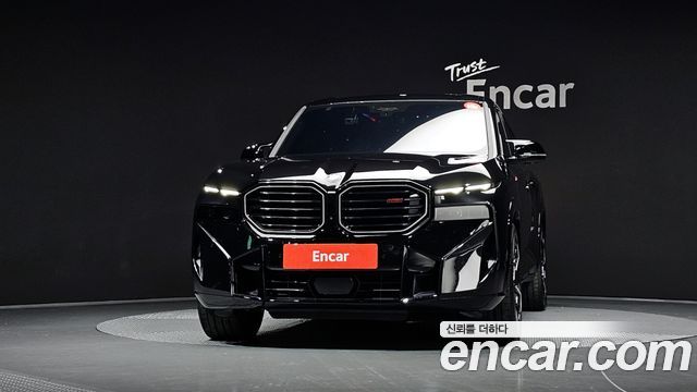 BMW XM G09 4.4 Lable - фото 2