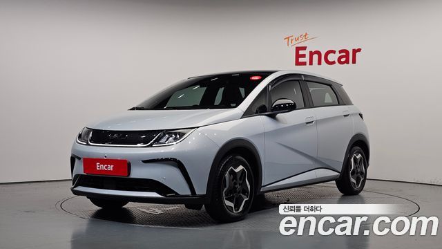 BYD Dolphin Base - фото 0